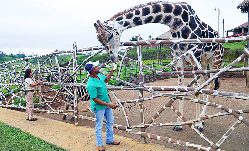 zoológico Joya Grande