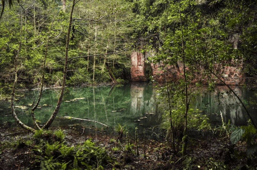 Parque Nacional Montaña de Yoro