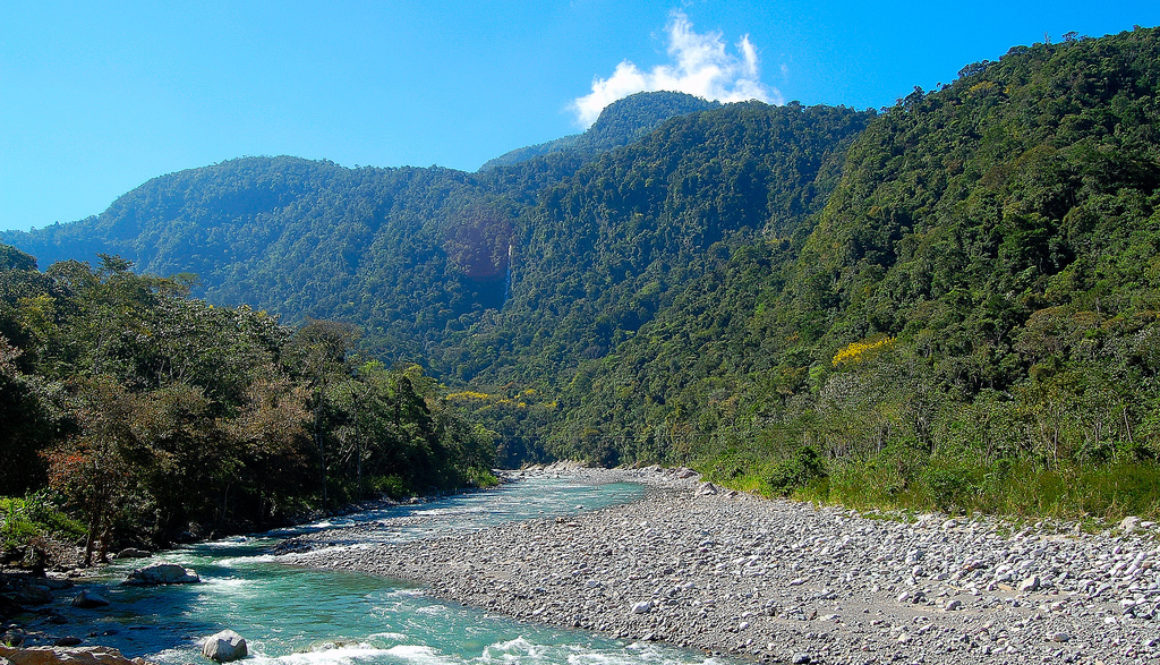 Rio Cangrejal La Ceiba