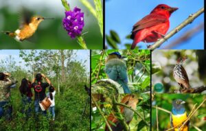 Que riquezas naturales posee honduras