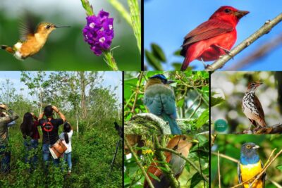 Que riquezas naturales posee honduras