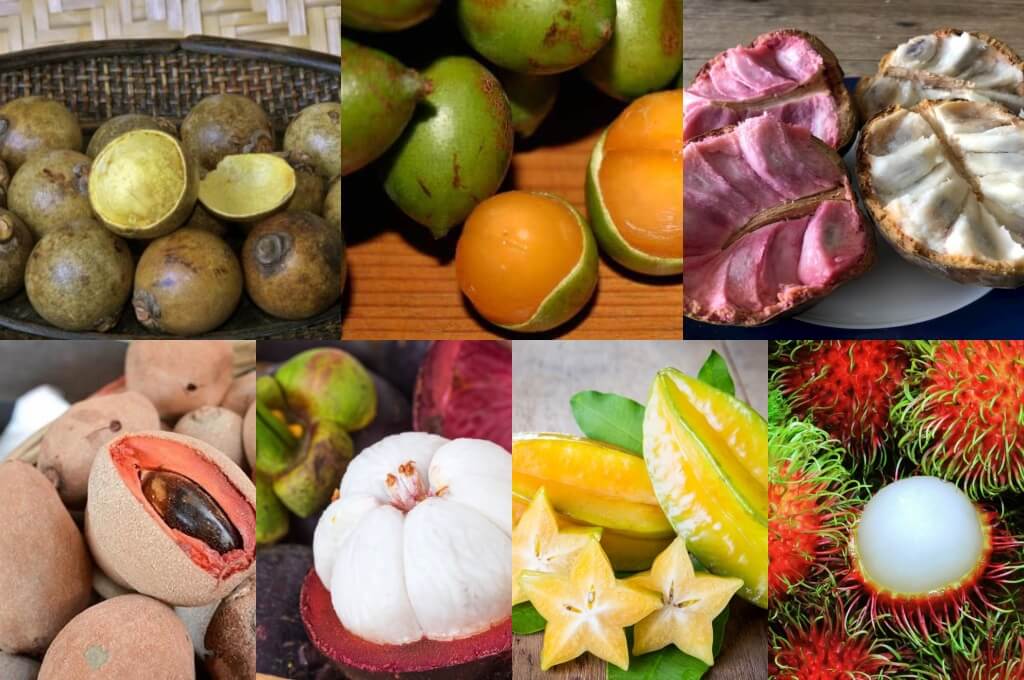 Frutas exóticas de Honduras