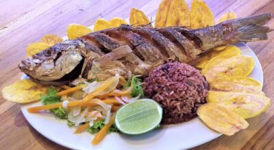 La gastronomía sureña