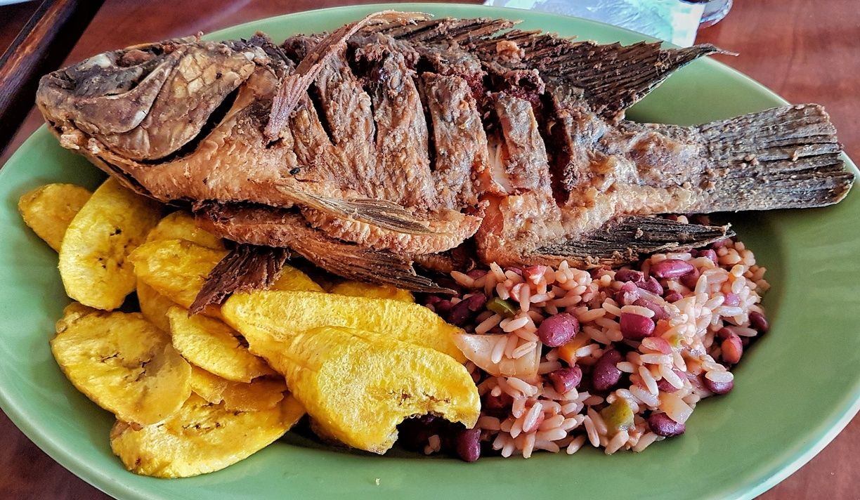 Gastronomia de La Ceiba